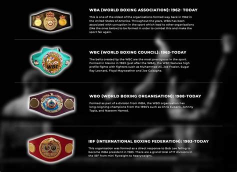Different Boxing Titles and Belts Explained .